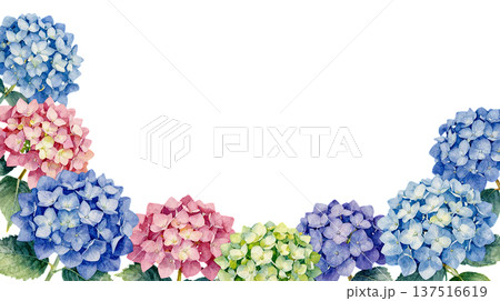 手描き風の紫陽花の水彩イラストフレーム 手描き風の紫陽花の水彩イラストフレーム 137516619
