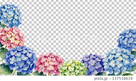 手描き風の紫陽花の水彩イラストフレーム 手描き風の紫陽花の水彩イラストフレーム 137516619
