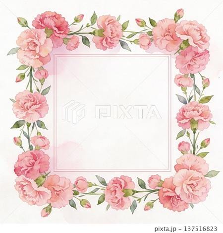 ピンクのカーネーションの水彩スクエアフレーム 137516823