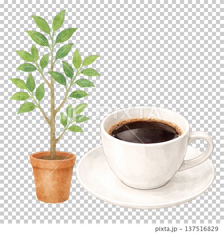 室內植物與咖啡杯 水彩咖啡館時光自然插畫 室內植物與咖啡杯 水彩咖啡館時光自然插畫 137516829