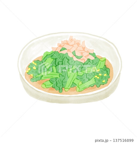 菜の花のおひたしのイラスト 菜の花のおひたしのイラスト 137516899