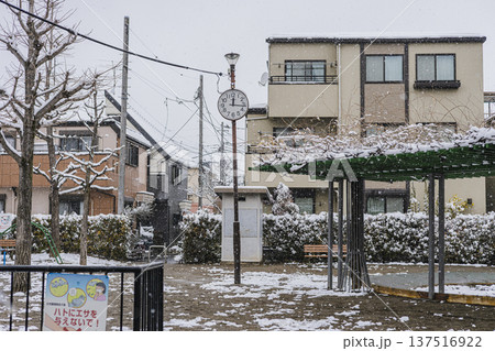 雪の日の児童公園　冬の住宅街の公園風景 137516922