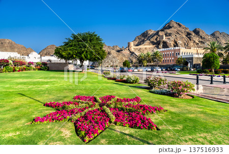 Scenic view of the lush gardens, flower beds, and ancient fort fortifications surrounding the Al Alam Palace in Muscat, Oman. 137516933