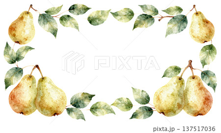 リアルな洋梨の水彩イラストフレーム 137517036