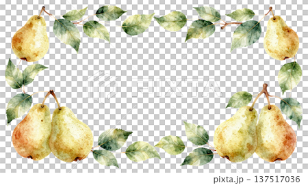 リアルな洋梨の水彩イラストフレーム 137517036