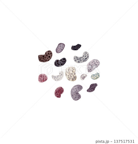Poppy seeds textured scattered grains, watercolor food ingredient illustration isolated on white. Natural baking topping for bakery packaging, recipe cards, organic food branding, pattern design Poppy seeds textured scattered grains, watercolor food ingredient illustration isolated on white. Natural baking topping for bakery packaging, recipe cards, organic food branding, pattern design 137517531