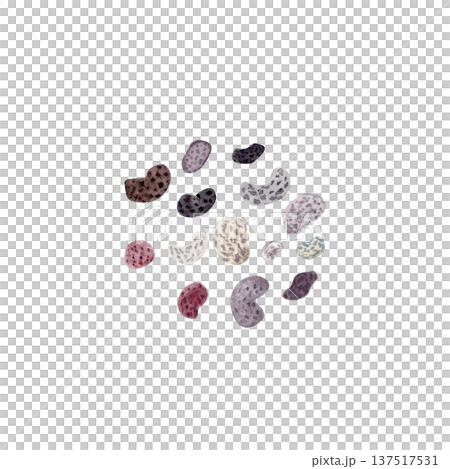 Poppy seeds textured scattered grains, watercolor food ingredient illustration isolated on white. Natural baking topping for bakery packaging, recipe cards, organic food branding, pattern design Poppy seeds textured scattered grains, watercolor food ingredient illustration isolated on white. Natural baking topping for bakery packaging, recipe cards, organic food branding, pattern design 137517531