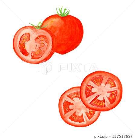 手描き水彩のトマトイラストセット 丸ごとトマトと半分カットと輪切りトマト 137517657