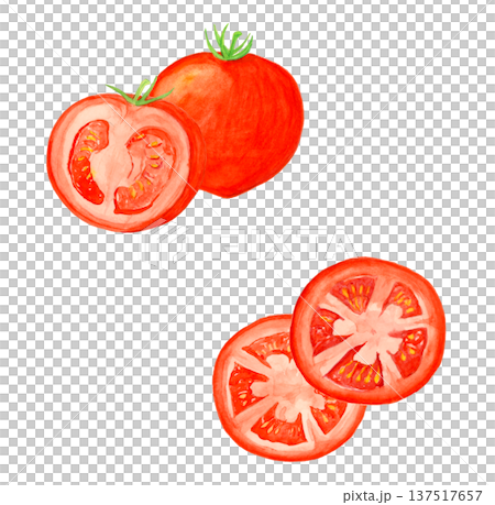 手描き水彩のトマトイラストセット 丸ごとトマトと半分カットと輪切りトマト 137517657