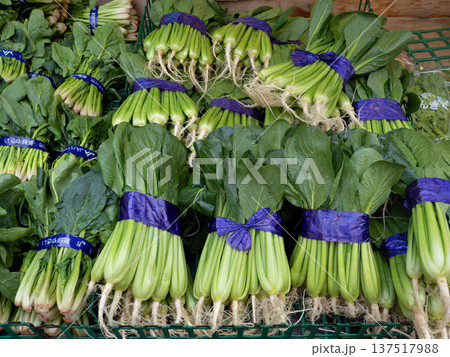 青果店に並ぶフレッシュな小松菜　東京都 137517988