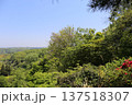 青空と林 137518307