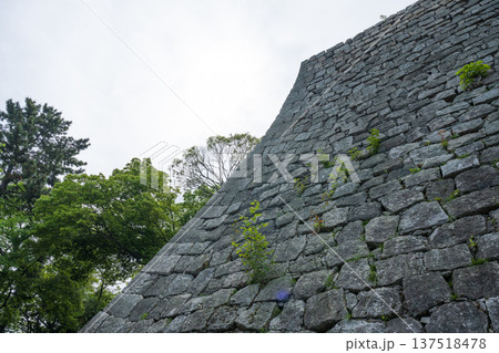 丸亀城 丸亀城 137518478