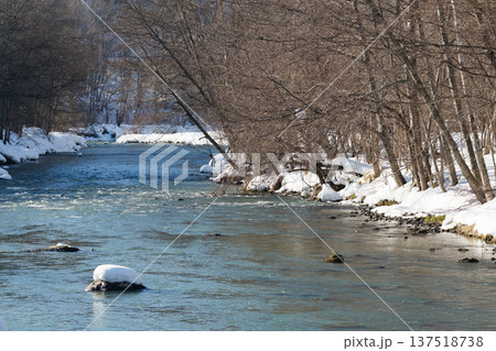 冬の美瑛川 冬の美瑛川 137518738