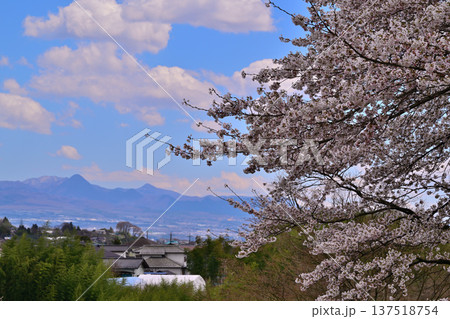 矢瀬遺跡から赤城山方面の風景 桜の季節 群馬県みなかみ町 矢瀬遺跡から赤城山方面の風景 桜の季節 群馬県みなかみ町 137518754