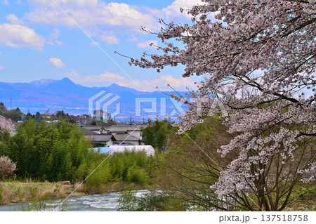 矢瀬遺跡から赤城山方面の風景 桜の季節 群馬県みなかみ町 矢瀬遺跡から赤城山方面の風景 桜の季節 群馬県みなかみ町 137518758