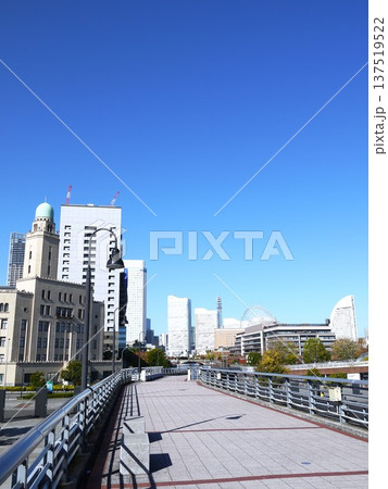 象の鼻パークの風景 象の鼻パークの風景 137519522