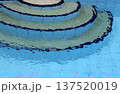 stones in swimming pool 137520019
