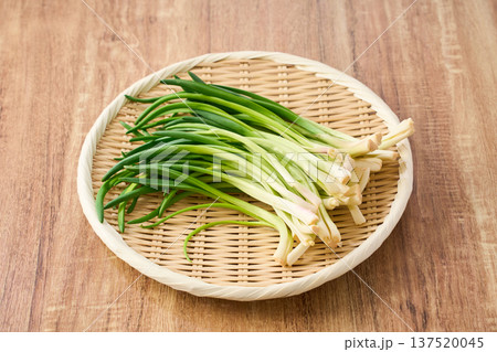あさつき 竹ざるに盛った香味野菜 あさつき 竹ざるに盛った香味野菜 137520045