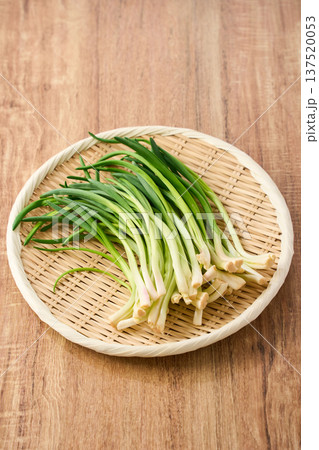 あさつき 竹ざるに盛った香味野菜 あさつき 竹ざるに盛った香味野菜 137520053