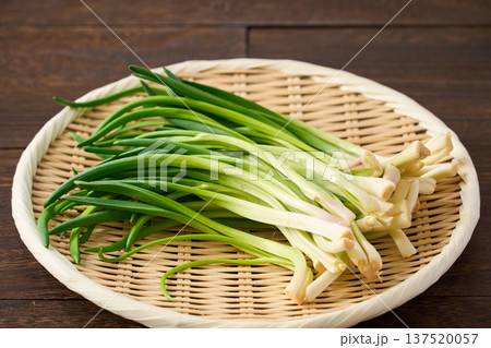 あさつき 竹ざるに盛った香味野菜 あさつき 竹ざるに盛った香味野菜 137520057