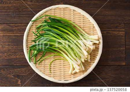 あさつき 竹ざるに盛った香味野菜 137520058