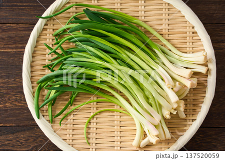 あさつき 竹ざるに盛った香味野菜 あさつき 竹ざるに盛った香味野菜 137520059