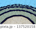 the water splashing in the pool 137520158