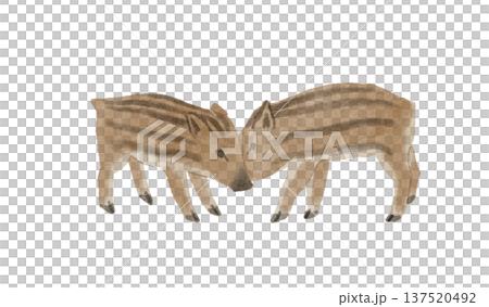 黃瓜插圖 137520492