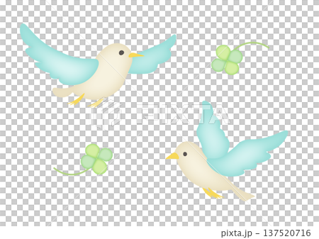 三葉草和小鳥的水彩插圖 137520716
