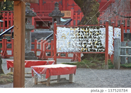世良田東照宮境内(2022.3.12) 桜の開花はもう少し時間がかかるようです 穏やかな春の風景 137520784