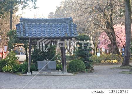 桜の開花はもう少し(2022.3.12) 世良田東照宮境内は静かで穏やかです 手水舎で清めて参拝 桜の開花はもう少し(2022.3.12) 世良田東照宮境内は静かで穏やかです 手水舎で清めて参拝 137520785