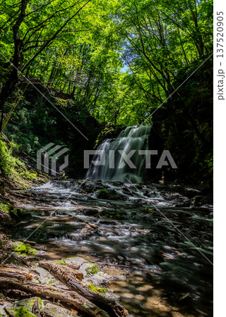 新緑の渓谷に落ちる滝の流れ 浅間大滝　a 137520905