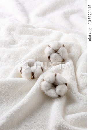 綿花　コットンフラワー 137521118