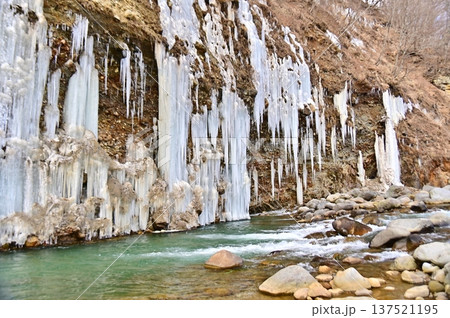 吉野川の流れと岩壁の氷柱群 137521195