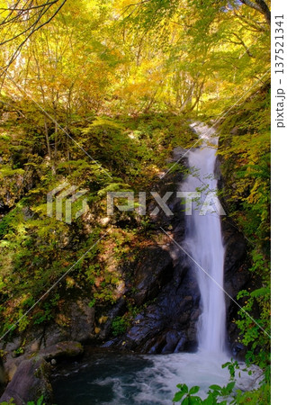 長野県の秋山郷にある大瀬の滝と紅葉 137521341