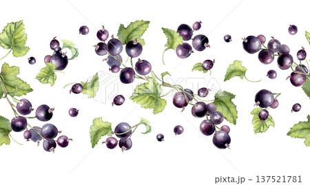Black currant watercolor horizontal seamless pattern on white background. Fresh ripe for kitchen decor, food packaging, fabric. Repeat berries for textile design hand drawn. Botanical border drawing. Black currant watercolor horizontal seamless pattern on white background. Fresh ripe for kitchen decor, food packaging, fabric. Repeat berries for textile design hand drawn. Botanical border drawing. 137521781