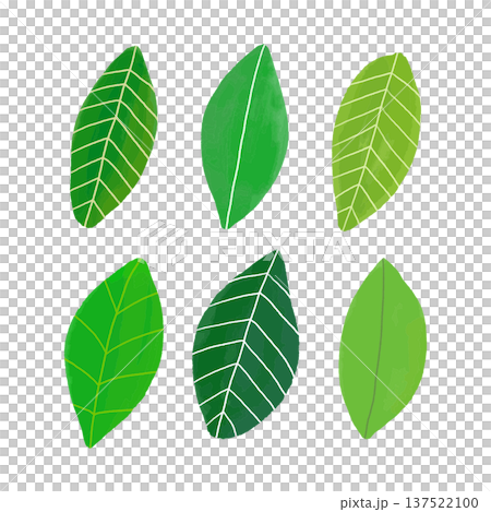 Lined up green leaf material Lined up green leaf material 137522100