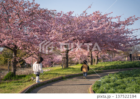 春の公園を歩く子供達 春の公園を歩く子供達 137522194