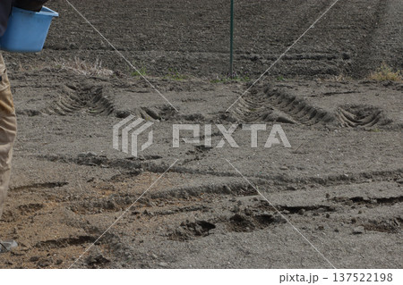 魚粉散布 137522198