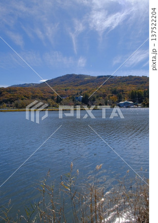 白樺湖と紅葉の森 137522204