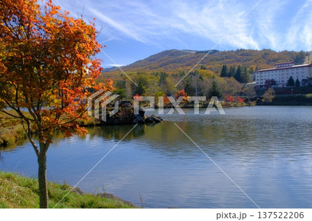 白樺湖の紅葉と御座岩遺跡 白樺湖の紅葉と御座岩遺跡 137522206