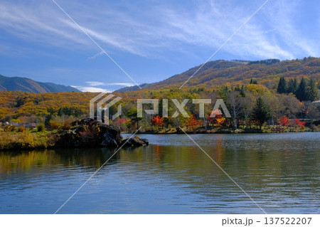 白樺湖の紅葉の森と御座岩遺跡 白樺湖の紅葉の森と御座岩遺跡 137522207
