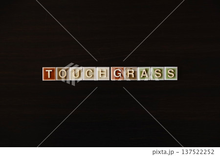 「TOUCH GRASS」の文字タイル:現実世界への回帰、自然とのつながり 「TOUCH GRASS」の文字タイル:現実世界への回帰、自然とのつながり 137522252
