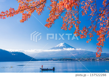 （山梨県）河口湖　湖畔の紅葉　富士山 137522266