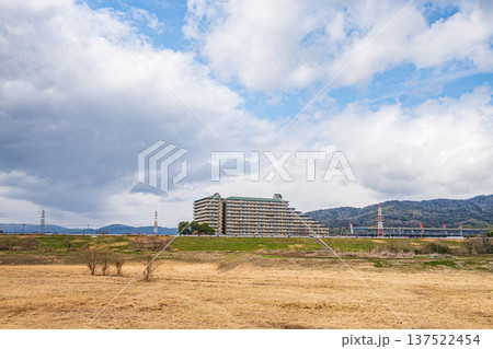 淀川右岸冬枯れの河川敷風景 大阪府高槻市 淀川右岸冬枯れの河川敷風景 大阪府高槻市 137522454
