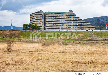 淀川右岸の冬枯れの河川敷風景　大阪府高槻市 137522492