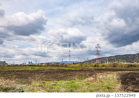 野焼き後の鵜殿ヨシ原 大阪府高槻市 野焼き後の鵜殿ヨシ原 大阪府高槻市 137522949