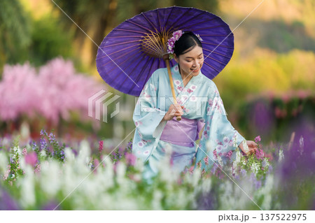 woman in yukata (kimono dress) holding umbrella with angelonia flower blooming in garden woman in yukata (kimono dress) holding umbrella with angelonia flower blooming in garden 137522975
