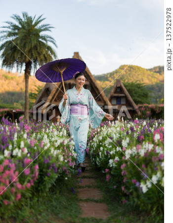 woman in yukata (kimono dress) holding umbrella with angelonia flower blooming in garden 137522978