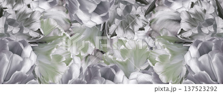 Tulips flowers and petals. Floral background. Close-up. Nature. Tulips flowers and petals. Floral background. Close-up. Nature. 137523292